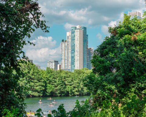 austin through the trees