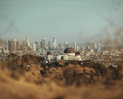 white and brown buildings