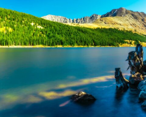 scenic view of the mountains with green pine trees beside calm body of water