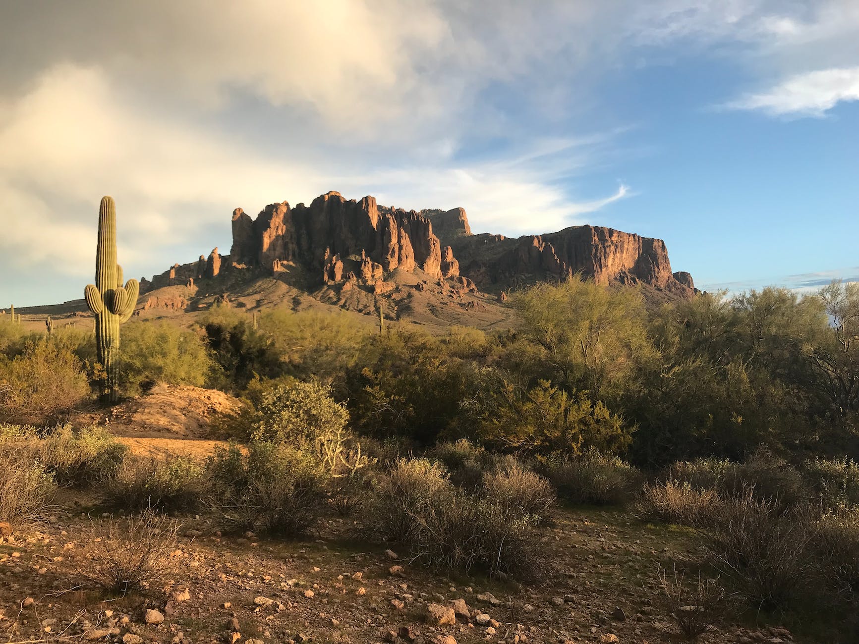 scenic view of the the desert