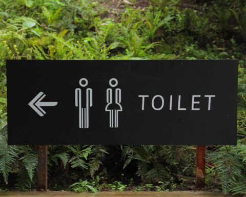 toilet signage beside green leaf
