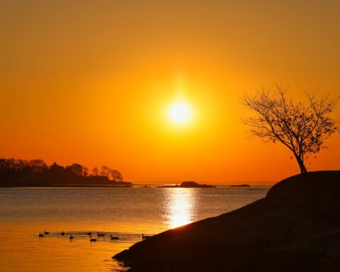 lake with calm water during sunset