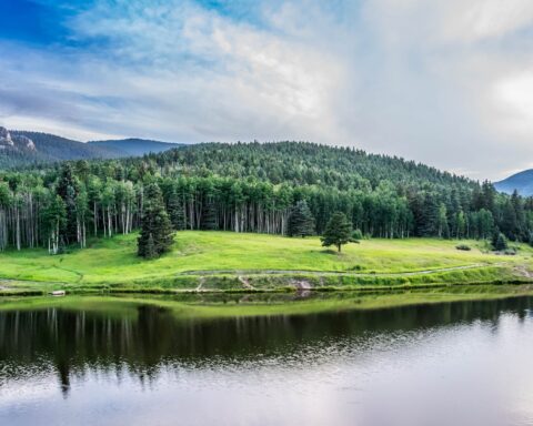 body of water beside green leaved trees under blue cloudy sky