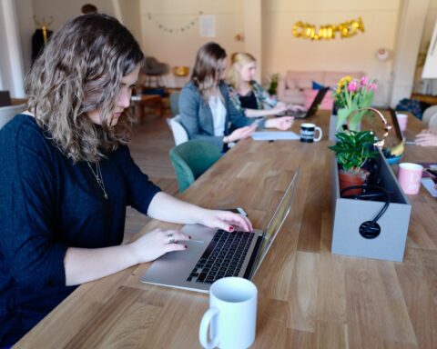 woman using laptop photography