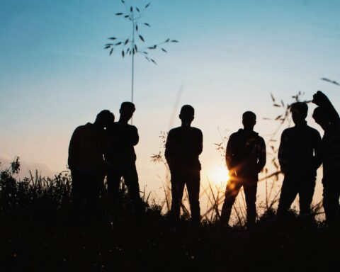 silhouette group of people standing on grass field