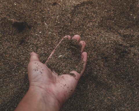 close up photo of person holding sand