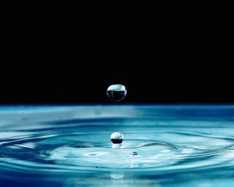 macro photography of water drop formation